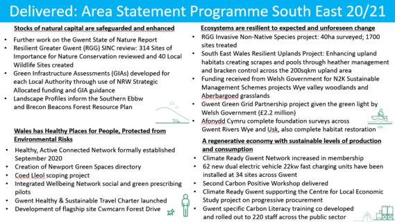 South East Area Statement key action 2020/21 1