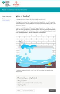 Screenshot - Scouts Cymru quiz