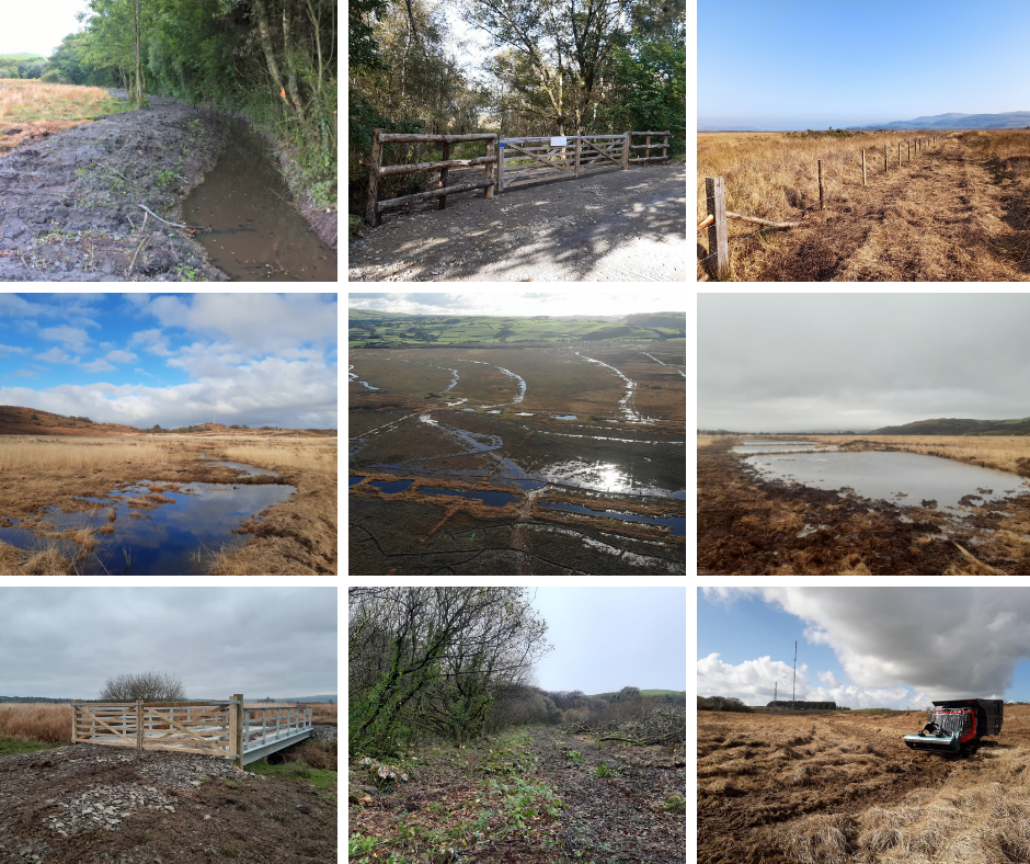 collage of project work