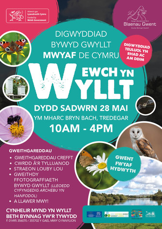 Ewch Yn Wyllt event