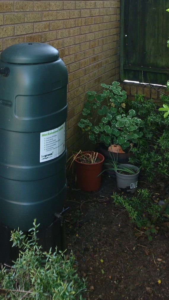 Photo of a 100l Water Butt - Credit Tracey Dunford