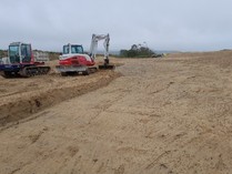 New dune slack scrape at Morfa Harlech