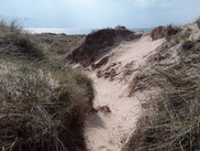 Aberffraw frontal dunes where SoLIFE will be creating a new notch