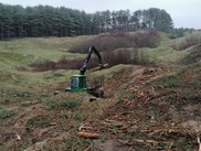 Conifer removal at Whiteford Burrows 