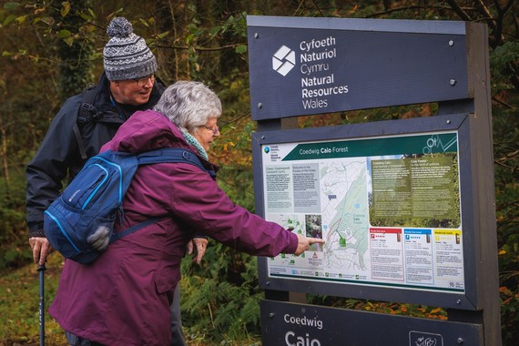 Two people looking at an information sign in a woodland