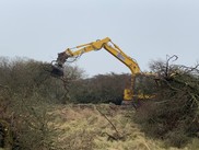 Sea buckthorn being pulled by an excavator with a special ‘grab’