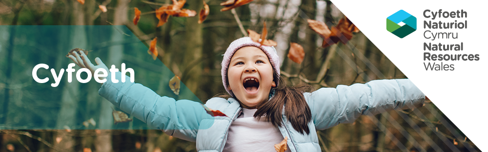 Cyfoeth header Welsh