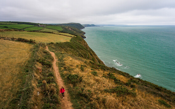 walker on the coast path in Ceredigion between New Quay to Cwmtydu