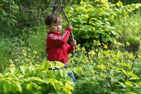 A boy with a stick in his hands amongst wild garlic