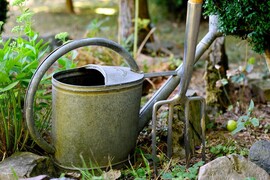 Watering can and fork image