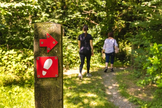 Mwy o syniadau ar gyfer mynd allan i’r awyr iach