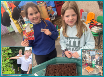 Children showing tomato seeds and cucumber plants they have grown