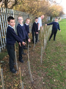 Schhol pupils plant trees on their school grounds