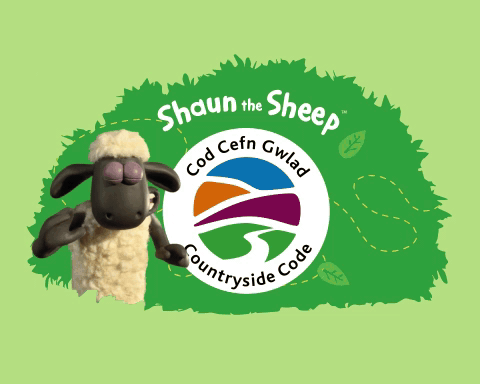 Shaun the Sheep 3