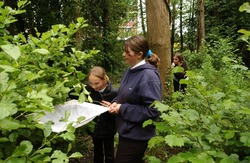 Two girls examine minibeasts that live in tree leaves