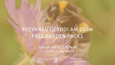 Keep Wales Tidy local places for nature project image