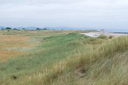 Gronant sand dunes