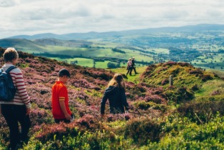 People walk through the heather on Foel Fenlli