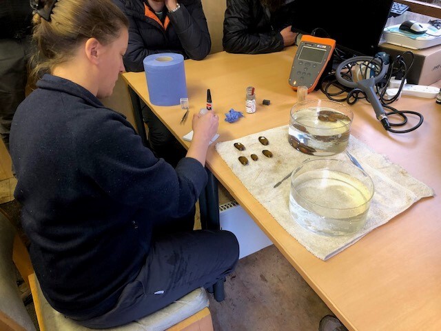 4R4L Kent Cumbria visit 1