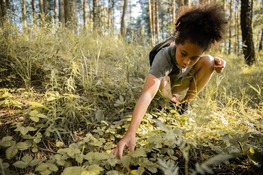 A teenager looks at a  plant