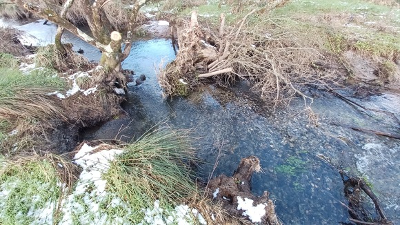 4R4L After wood at Llangloffan fen