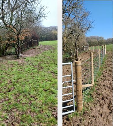 4R4L fenton brook before and after 1