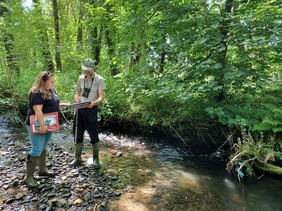 4R4L skunk cabbage surveying