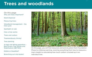 Trees and woodlands web page screenshot