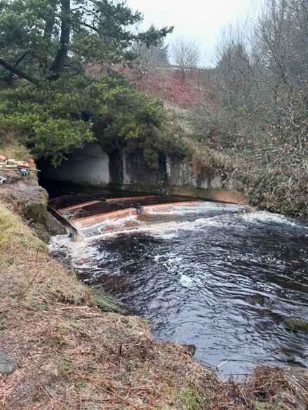 Alwen culvert