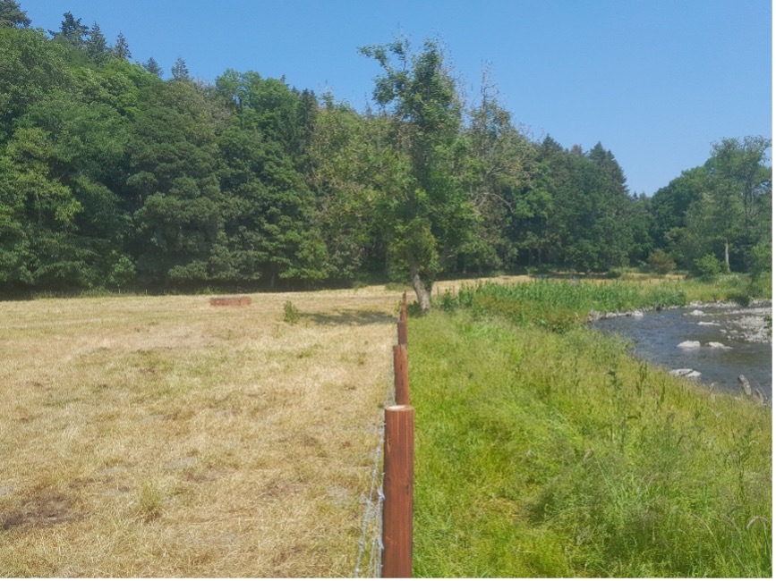 A good example of river fencing and buffer (from the Dee catchment, Wales)