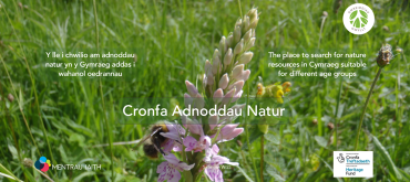 Gwreiddiau Gwyllt database of resources