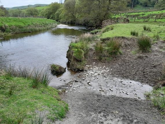 River Scene