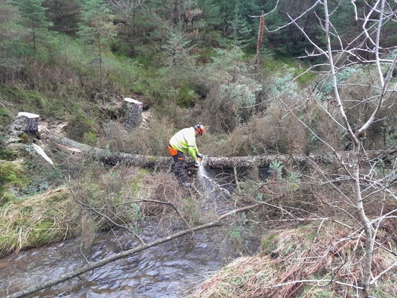 Slow the flow Activity