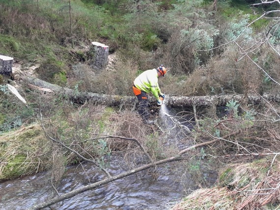 Slow the flow Activity