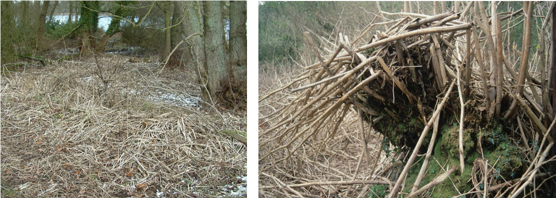 INNS Pic - Upper Wye