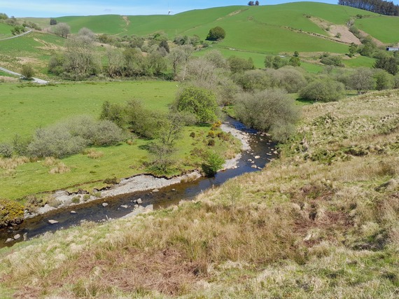 Upper wye, above Llangurig 