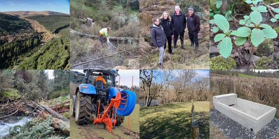 project photo montage