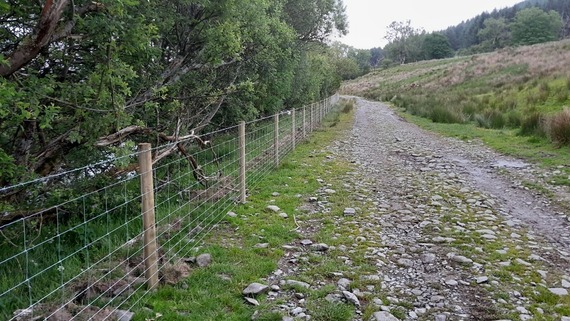 Standard stock proof fencing installed