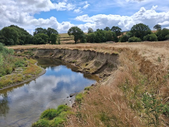 Erydiad glannau’r afon 