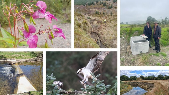 Upper Wye Catchment Restoration Project