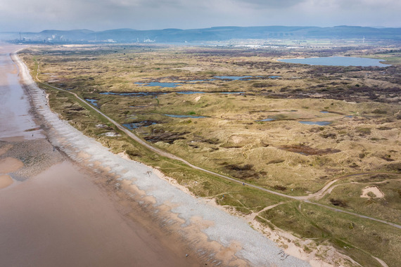 New report highlights the importance of healthy coastal habitats in reducing flood risk