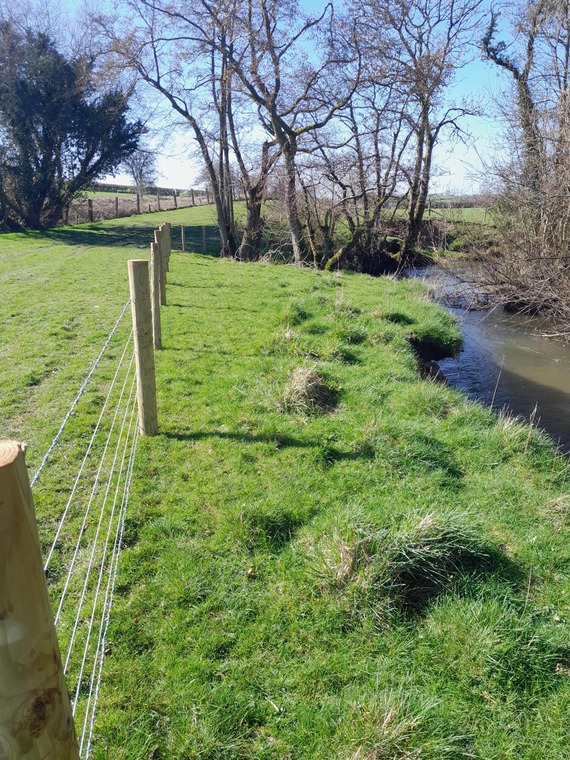 Newly fenced buffer zones 