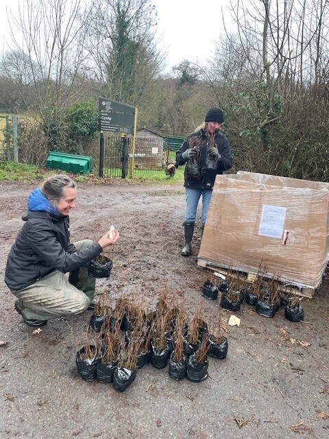 New partnership with Coed Cadw, the Woodland Trust in Wales