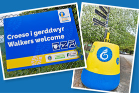 Large painted buoy in yellow and blue