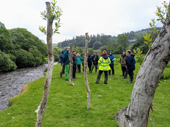 Innovative riverbank stabilisation using live willow stakes