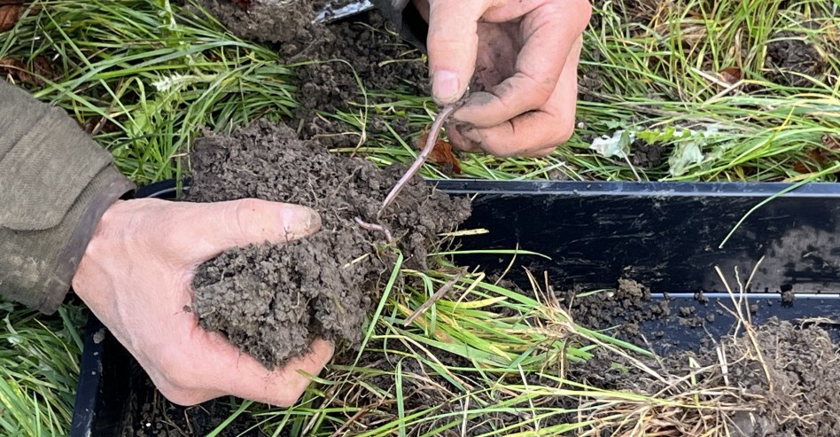Soil health