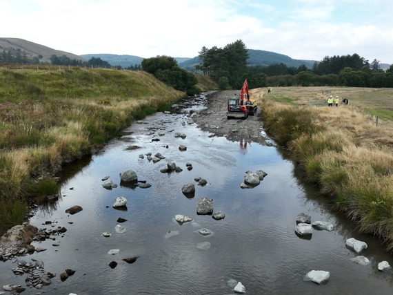 Boulders - Llangurig