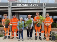 Braodleaves