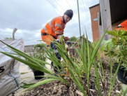 Ground Maintenance Champion