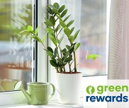 green rewards